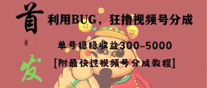 （8549期）全网独家首发，视频号BUG，超短期项目，单号每日净收益300-5000！-优优云创网