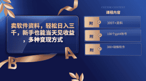 （8582期）卖软件资料，轻松日入三千，新手也能当天见收益，多种变现方式，（附300…-优优云创网