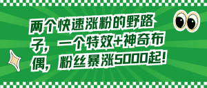 (8606期)两个快速涨粉的野路子,一个特效+神奇布偶,粉丝暴涨5000起!-优优云创