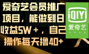（8663期）爱奇艺会员推广项目，能做到日收益5W＋，自己操作每天撸40+-副业吧