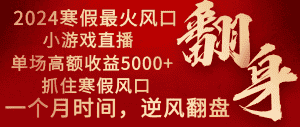 （8766期）2024年最火寒假风口项目 小游戏直播 单场收益5000+抓住风口 一个月直接提车-优优云创网