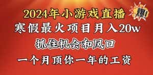 (8778期)2024年寒假爆火项目,小游戏直播月入20w+,学会了之后你将翻身-优优云创网