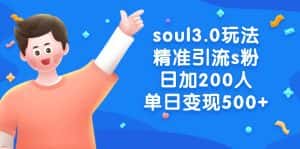 （8885期）soul3.0玩法精准引流s粉，日加200人单日变现500+-优优云创网