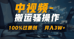 （8907期）无脑双重去重原创视频，100%中视频+视频号分成计划，一键多平台发布小白…-优优云创
