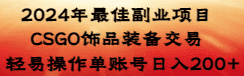 （8941期）2024年最佳副业项目 CSGO饰品装备交易 轻易操作单账号日入200+-优优云创网