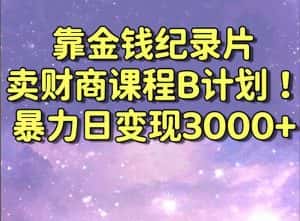 （8944期）靠金钱纪录片卖财商课程B计划！暴力日变现3000+，喂饭式干货教程！-优优云创网