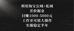 （8952期）利用淘宝公域+私域差价掘金，日赚1000-5000元，工作室可放大操作，实操…-优优云创网