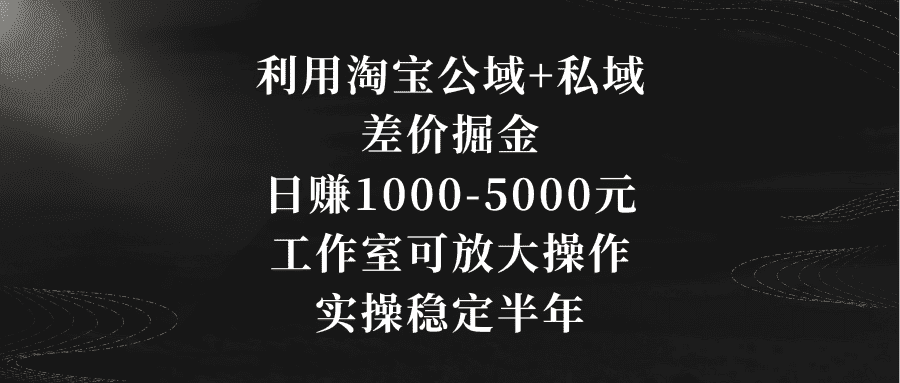 （8952期）利用淘宝公域+私域差价掘金，日赚1000-5000元，工作室可放大操作，实操…-优优云创网