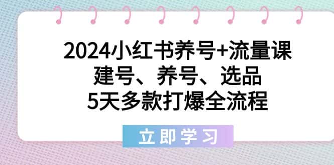（8974期）2024小红书养号+流量课：建号、养号、选品，5天多款打爆全流程-优优云创网