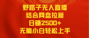 （9025期）无人直播野路子结合网盘拉新，日赚2500+多平台变现，小白无脑轻松上手操作-优优云创网