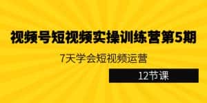 (9029期)视频号短视频实操训练营第5期:7天学会短视频运营(12节课)-副业吧