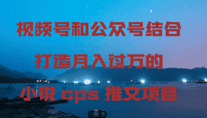 （9059期）视频号和公众号结合打造月入过万的小说cps推文项目-优优云创网