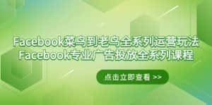 （9064期）Facebook-菜鸟到老鸟全系列运营玩法+Facebook-专业广告投放全系列课程-副业吧