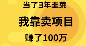 (9100期)当了3年韭菜,我靠卖项目赚了100万-副业吧
