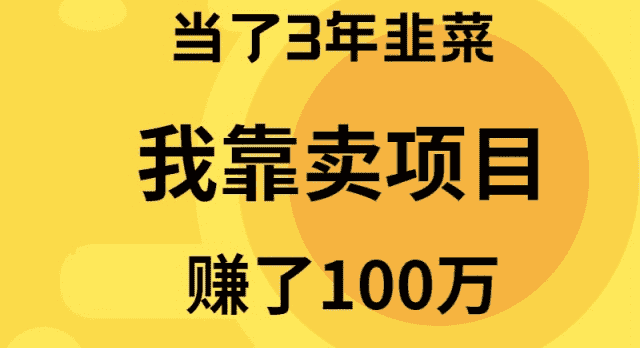 (9100期)当了3年韭菜,我靠卖项目赚了100万-优优云创