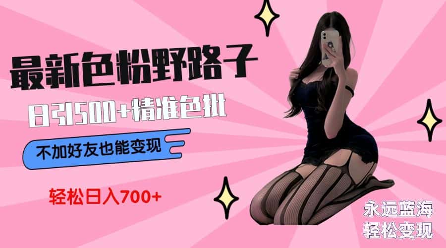 （9119期）最新色粉变现野路子，日引500+老色批 可不加好友直接变现 小白轻松日入700+-优优云创