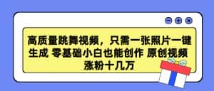 （9222期）高质量跳舞视频，只需一张照片一键生成 零基础小白也能创作 原创视频 涨…-优优云创网
