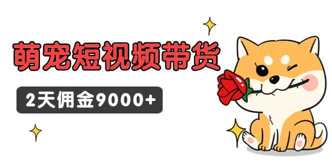 (9273期)东哲日记·萌宠短视频带货,2天佣金9000+-优优云创网