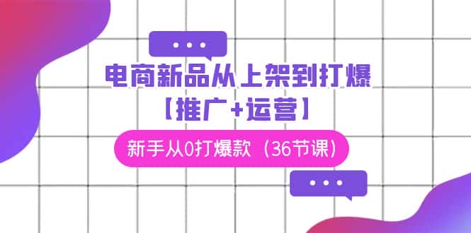 （9286期）电商 新品从上架到打爆【推广+运营】，新手从0打爆款（36节课）-优优云创网