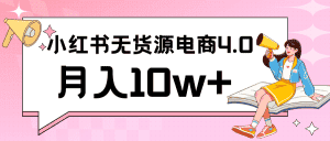 小红书新电商实战 无货源实操从0到1月入10w+ 联合抖音放大收益-优优云创