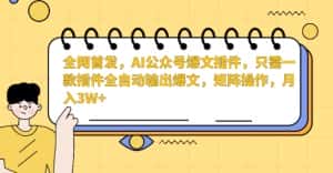 全网首发，AI公众号爆文插件，只需一款插件全自动输出爆文，矩阵操作，月入3W+-优优云创网