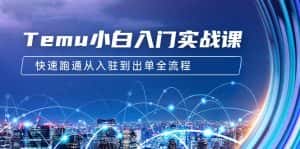 （9295期）Temu小白入门实战课：跨境拼多多电商培训 快速跑通从入驻到出单全流程-12节-优优云创网