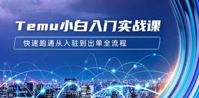 （9295期）Temu小白入门实战课：跨境拼多多电商培训 快速跑通从入驻到出单全流程-12节-优优云创网