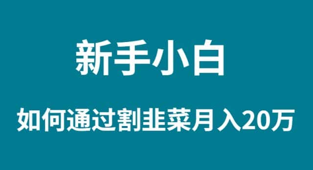 （9308期）新手小白如何通过割韭菜月入 20W-优优云创网