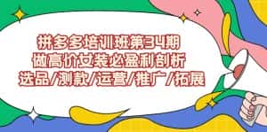 （9333期）拼多多培训班第34期：做高价女装必盈利剖析  选品/测款/运营/推广/拓展-副业吧