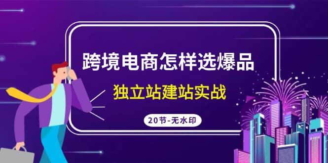 跨境电商怎样选爆品，独立站建站实战（20节高清课）-优优云创网