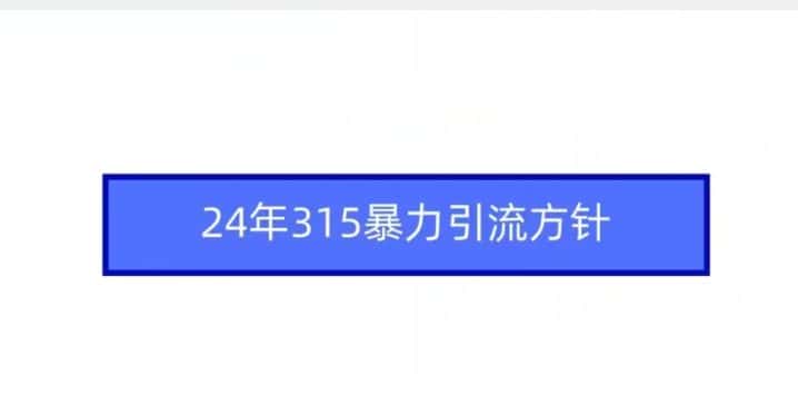 24年315暴力引流方针-副业吧