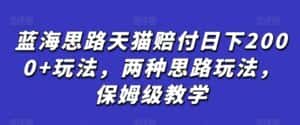 蓝海思路天猫赔付日下2000+玩法，两种思路玩法，保姆级教学【仅揭秘】-优优云创网