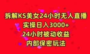 利用快手24小时无人美女直播，实操日入3000，24小时被动收益，内部保密玩法-优优云创网
