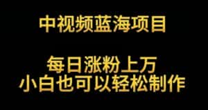 中视频蓝海项目，解读英雄人物生平，每日涨粉上万，小白也可以轻松制作，月入过万不是梦-优优云创网