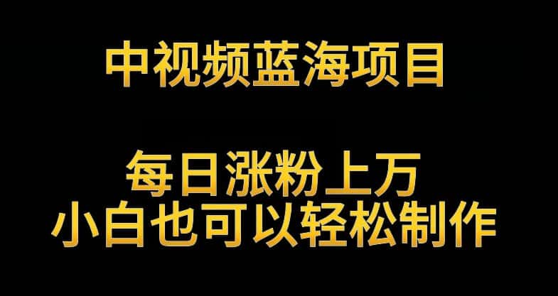 中视频蓝海项目，解读英雄人物生平，每日涨粉上万，小白也可以轻松制作，月入过万不是梦-优优云创网