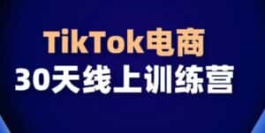 TikTok电商带货30天线上课，不可错过的全球流量洼地！-优优云创网