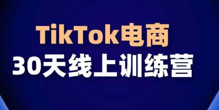 TikTok电商带货30天线上课,不可错过的全球流量洼地!-优优云创网