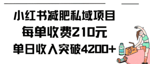 （9466期）小红书减肥私域项目每单收费210元单日成交20单，最高日入4200+-优优云创