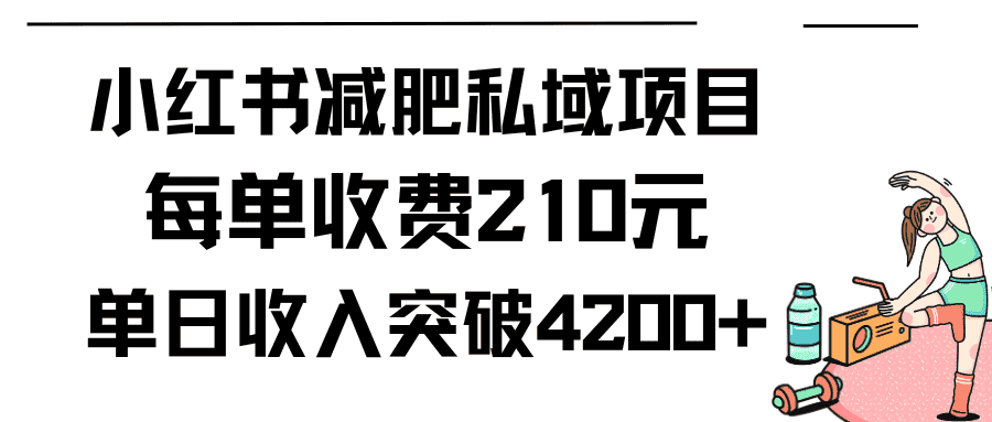 (9466期)小红书减肥私域项目每单收费210元单日成交20单,最高日入4200+-优优云创网