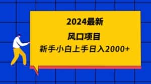 （9483期）2024最新风口项目 新手小白日入2000+-副业吧