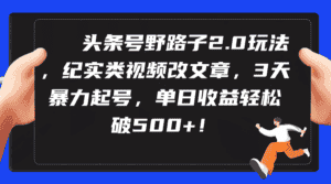 （9488期）头条号野路子2.0玩法，纪实类视频改文章，3天暴力起号，单日收益轻松破500+-优优云创
