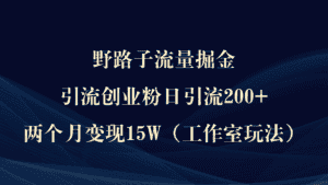 （9513期）野路子流量掘金，引流创业粉日引流200+，两个月变现15W（工作室玩法））-优优云创