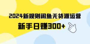 （9522期）2024新规则闲鱼无货源运营新手日赚300+-优优云创