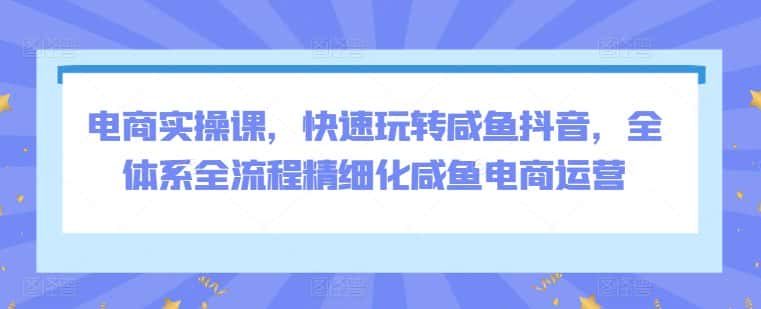 电商实操课，快速玩转咸鱼抖音，全体系全流程精细化咸鱼电商运营-优优云创网