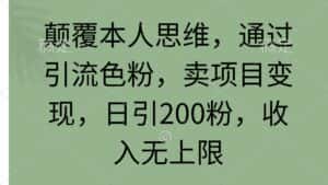 (9523期)颠覆本人思维,通过引流色粉,卖项目变现,日引200粉,收入无上限-优优云创网
