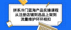 （9527期）拼系冷门蓝海产品实操课程，从注册店铺到选品上架到流量维护环环相扣-优优云创网