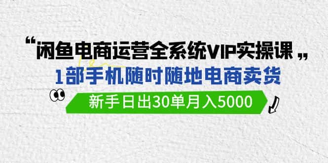 闲鱼电商运营全系统VIP实战课，1部手机随时随地卖货，新手日出30单月入5000-优优云创网