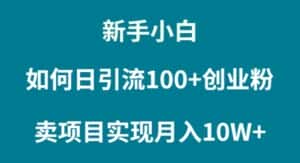 （9556期）新手小白如何通过卖项目实现月入10W+-优优云创网