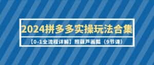 (9559期)2024拼多多实操玩法合集【0-1全流程详解】照葫芦画瓢(9节课)-优优云创网