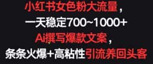 小红书女色粉大流量，一天稳定700~1000+  Ai撰写爆款文案，条条火爆+高粘性引流养回头客-优优云创网